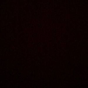 Meet your Posher, Brady